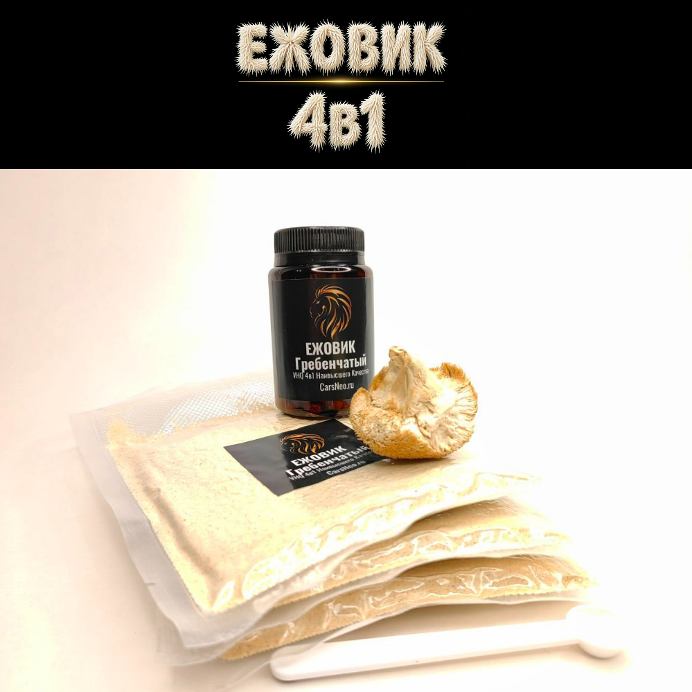 Порошок ежовика вид 3